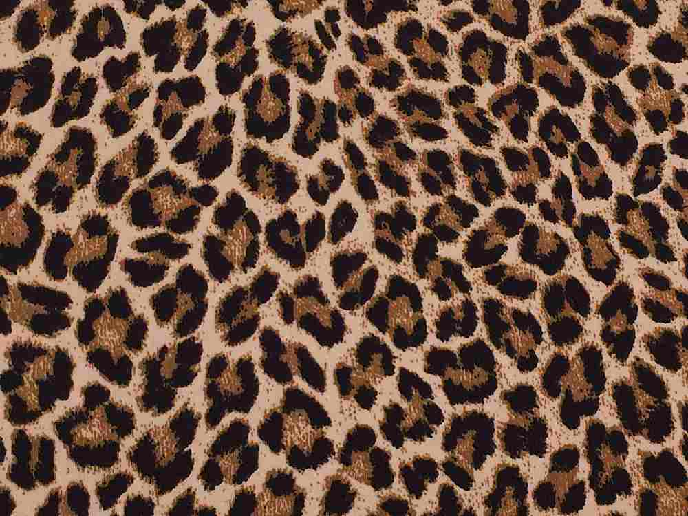 Animal Print Fabrics | Fabric Online | Search for Fabric – SearchForFabric.Com