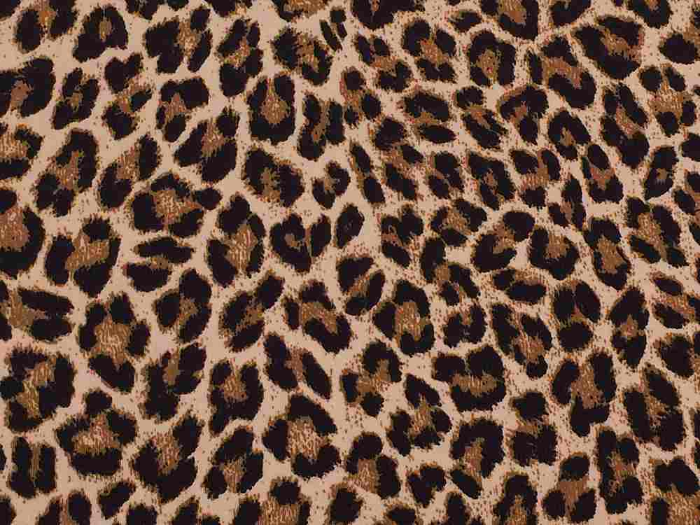 Animal Print Fabrics Shop Fabric Online Search for Fabric