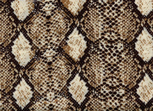 Load image into Gallery viewer, S2554-AN50485