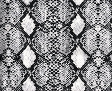 Load image into Gallery viewer, P3006-AN50485