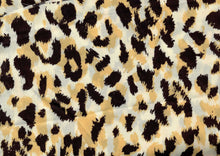 Load image into Gallery viewer, S2554-AN51206