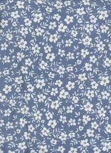 Load image into Gallery viewer, P2243-FL51483-Y