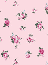 Load image into Gallery viewer, P2243-FL51577-Y