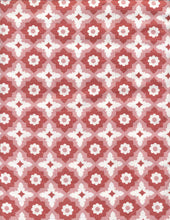 Load image into Gallery viewer, D2052-AB51582