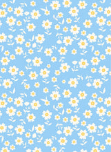 Load image into Gallery viewer, D2052-FL51410