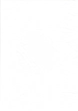 Load image into Gallery viewer, KNT-3156