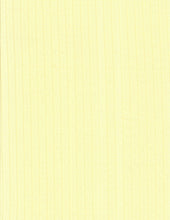 Load image into Gallery viewer, POINTELLE RIB