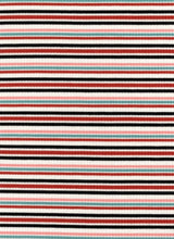 Load image into Gallery viewer, KNT-50160-4x2 Poly Rayon Spandex Yarn Dye Rib Stripe
