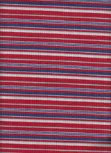 Load image into Gallery viewer, KNT-2200-3375-4x2 Poly Rayon Spandex Yarn Dye Rib Stripe
