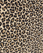 Load image into Gallery viewer, D2052-AN50507--DTY Brush Animal Cheetah Print
