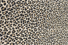 Load image into Gallery viewer, D2052-AN50507--DTY Brush Animal Cheetah Print
