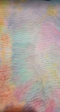 Load image into Gallery viewer, TD110-1984--Power Mesh Tie Dye
