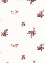 Load image into Gallery viewer, MS110-FL51198
