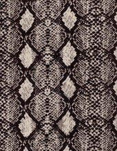 Load image into Gallery viewer, P2243-AN50485--4x2 Yummy Rib Snake Print
