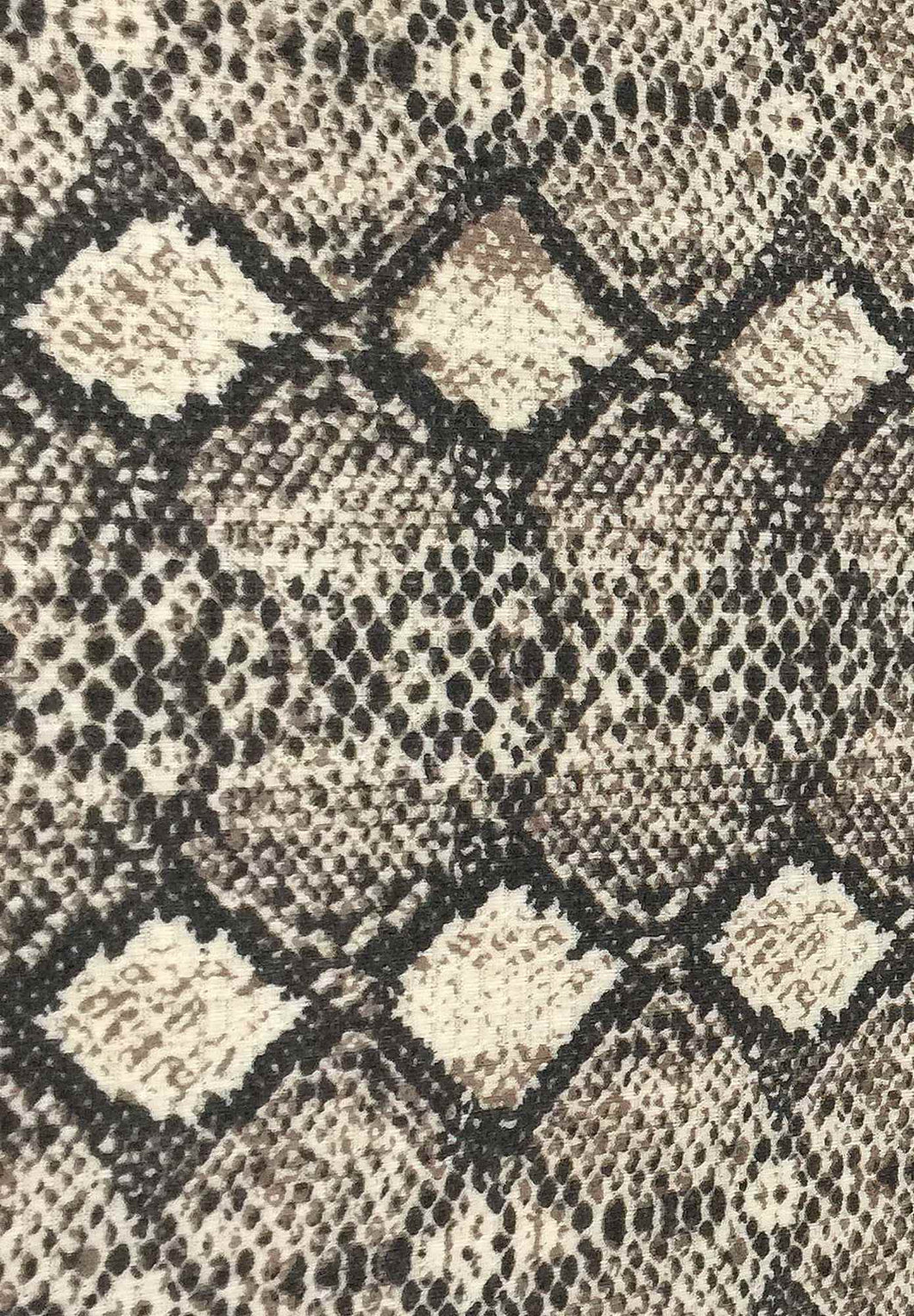 P3115-AN50485--Pointelle Rib Snake Print