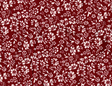 Load image into Gallery viewer, D2052-FL51289
