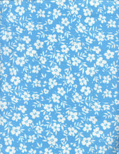 Load image into Gallery viewer, D2052-FL51483
