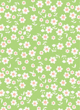 Load image into Gallery viewer, D2052-FL51410
