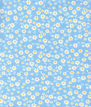 Load image into Gallery viewer, D2052-FL51410
