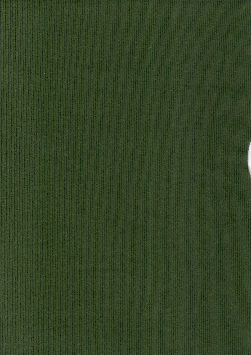 KNT-3041