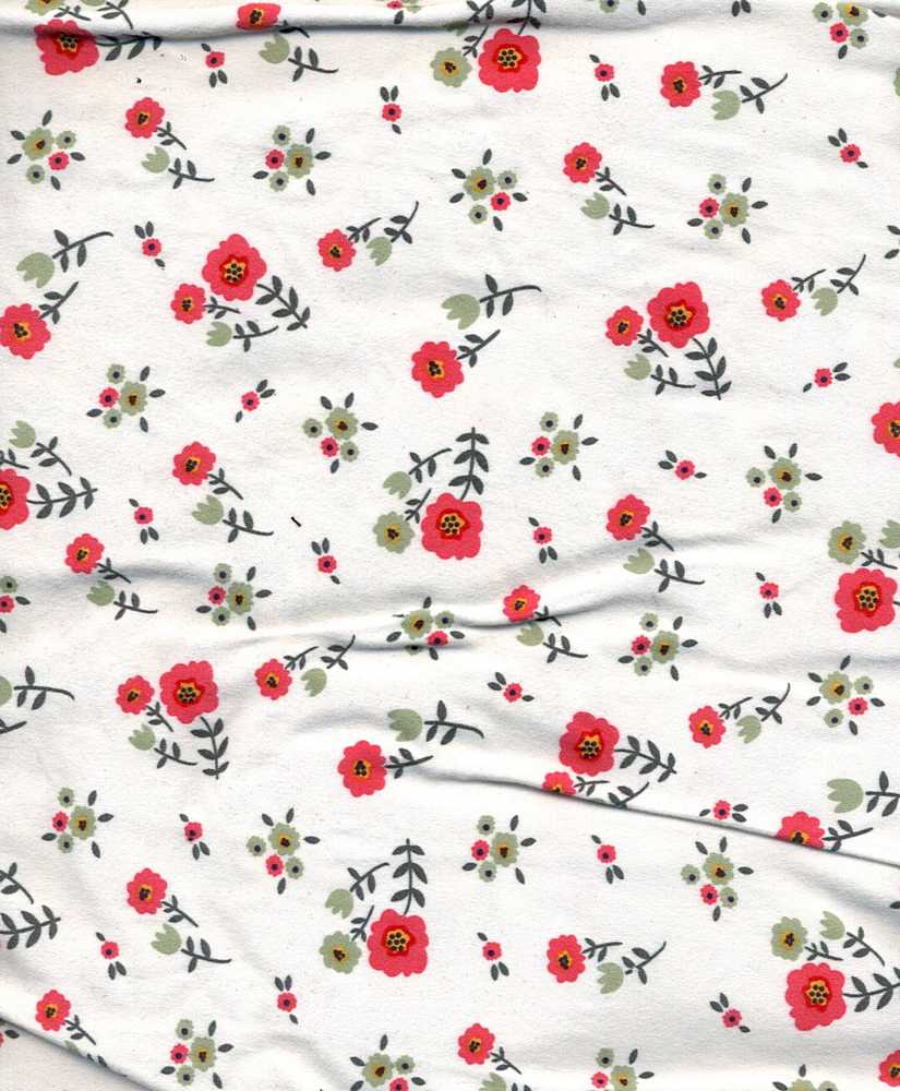 D2052-FL51488 C1 IVORY/RED BRUSH PRINT FLOWERS DTY