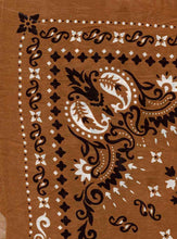 Load image into Gallery viewer, S2554-SC51535 C6 BROWN/BLK SATIN WOVEN PRINT
